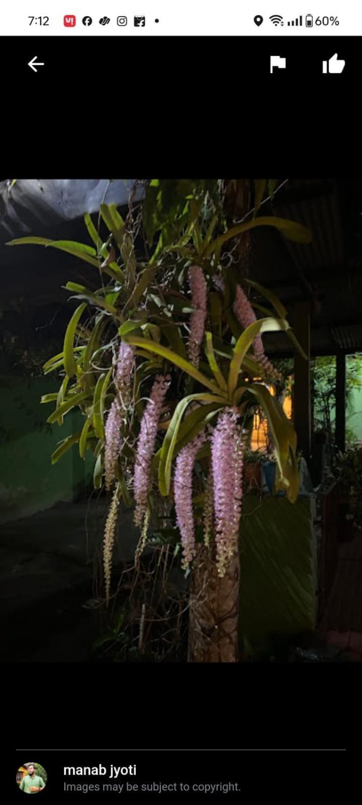 Orchid Park Homestay Sivasagar Екстер'єр фото